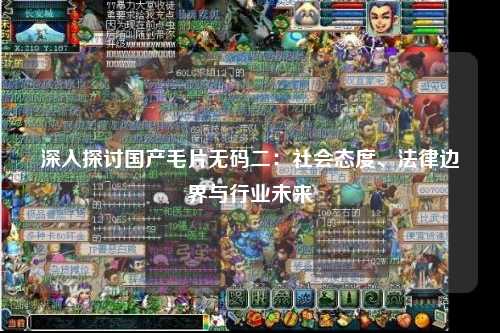 深入探讨国产毛片无码二：社会态度、法律边界与行业未来