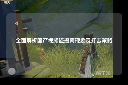 全面解析国产视频盗摄网现象及打击策略