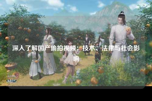 深入了解国产偷拍视频：技术、法律与社会影响