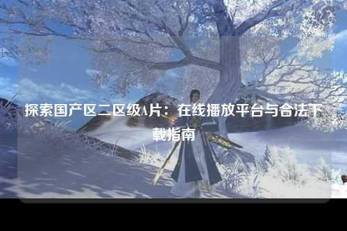 探索国产区二区级A片：在线播放平台与合法下载指南